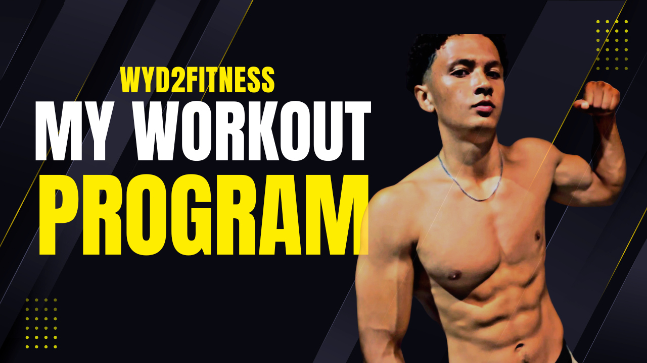 WYD2FITNESS Workout Program - My Workout Program